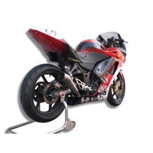 ツルノテクニカルサービス NINJA250 NINJA250R デュアルレーシング