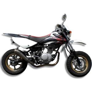 BURIAL（ベリアル） GP・M1・ストリートスペックサイレンサー XR100