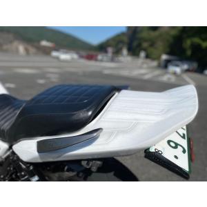 VERTIA ヴェルティア リアワイドテールカール タイプ：Carbon ZRX1200DAEG K...