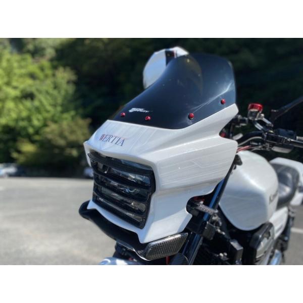 VERTIA ヴェルティア ライトルーバー タイプ：Carbon ZRX1200DAEG KAWAS...