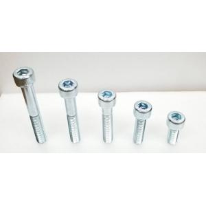 STRIKER ストライカー 【補修部品】サイレンサースライダー用キャップボルト サイズ：100mm...
