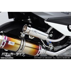 WirusWin（ウイルズウィン） ブリーザーキャッチタンク タイプ
