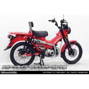 スペシャルパーツ武川 SP武川 SPタケガワ スポーツマフラー ノーマル