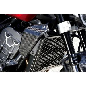 EVOTECH Performance バイク ラジエター ガード ホンダ CB1000R 2021