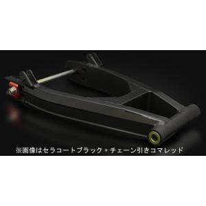 STRIKER ストライカー G-STRIKER スイングアーム ZRX1200DAEG KAWAS...