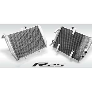 DELTA（デルタ） バレル4-Sサイレンサー CRF250L/M/RALLY '-20【政府