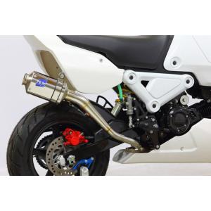 TSR テクニカルスポーツレーシング レーシングエキゾースト(スリップオンマフラー) HRC GROM HONDA ホンダ