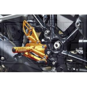 FSJ R1200RS R1250RS ワイドクリアスクリーン FEED SPORTS JAPAN