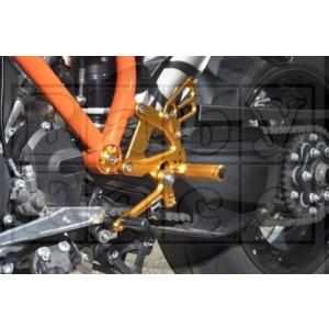 BABYFACE ベビーフェイス バックステップ カラー：ブラック SUPERDUKE R KTM ステップ 足回り｜ウェビック1号店