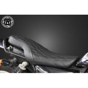 BODY STYLE ボディースタイル アンダーカウル (ベリーパン