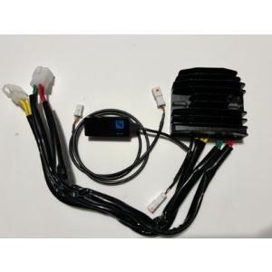 H.Craft Hクラフト DUCATI 電圧調整式MOSFET レギュレーター 50A タイプ：ハ...