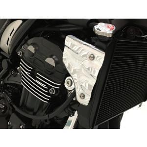 STRIKER ストライカー（STRIKER） エアロデザイン SAD