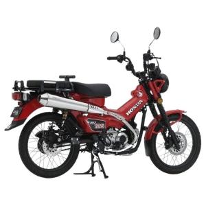 STING R＆D スティングアールアンドディー カーボン製サイドカバー