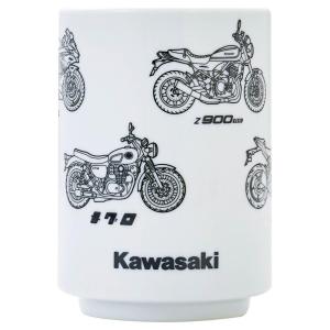 S-PARTS エスパーツ スクリーン用チタンボルトセット カラー：チタン