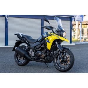 AERO GEAR エアロギア エアロロングスクリーン カラー：スモーク