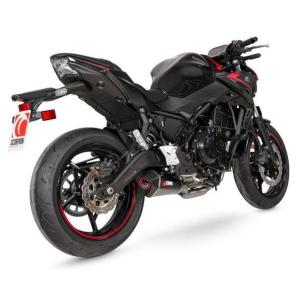 RSヨコタ レーシングショップヨコタ RSYビューティーメガホン：250TR