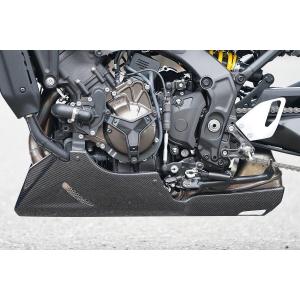 XSR900 POWERBRONZE RN80j リアフェンダー Odax ODAX オダックス Powerbronze インナーフェンダー カラー