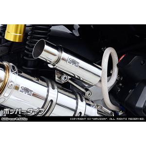 VERTIA ヴェルティア ライトルーバー タイプ：FRP ZRX1200DAEG