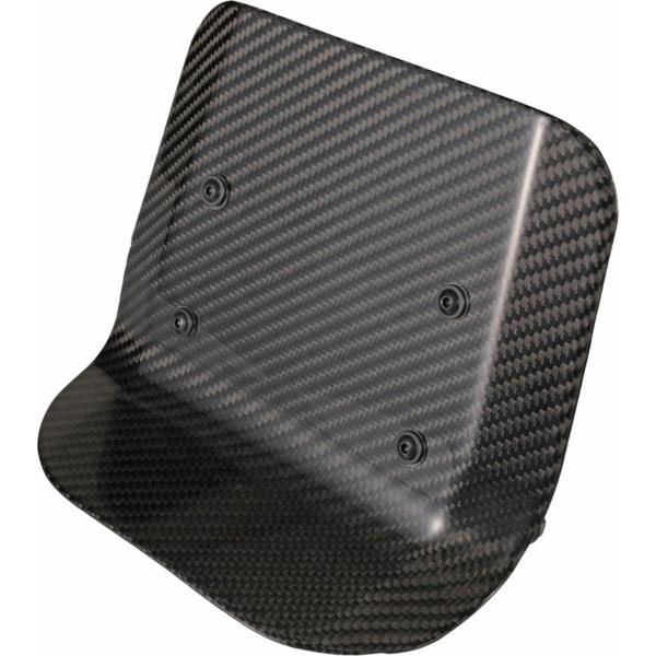 SPEEDRA スピードラ メーターバイザーキット タイプ：綾織りカーボン(艶あり) RH1250S...