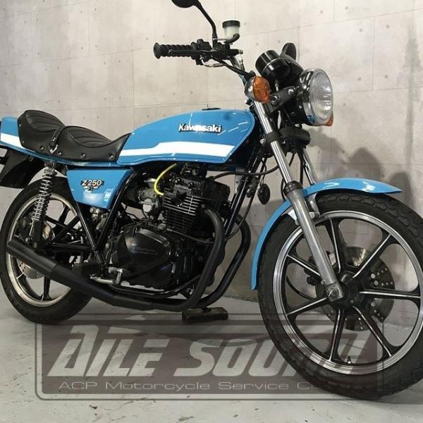 ACP エーシーピー エルサウンド ショート管 マフラー Z250FT KAWASAKI カワサキ ...