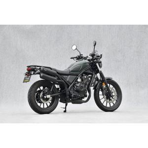 WirusWin（ウイルズウィン） オープンエンドマフラー 【フル