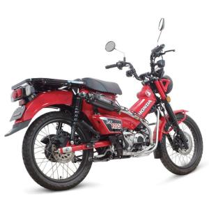DEVIL EVOLUTION デビルエボリューション フルシステムマフラー D2.1