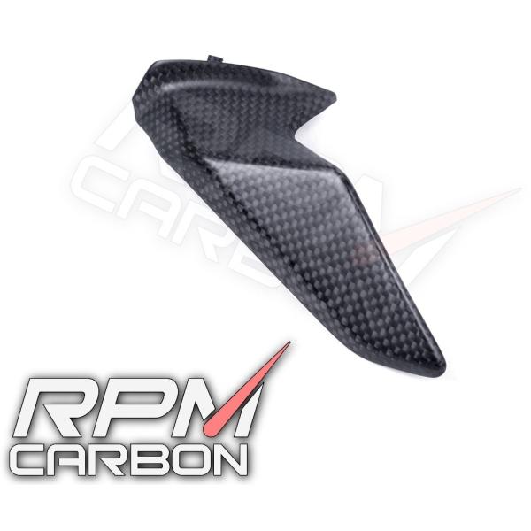 RPM CARBON アールピーエムカーボン Sprocket Chain Guard Paniga...