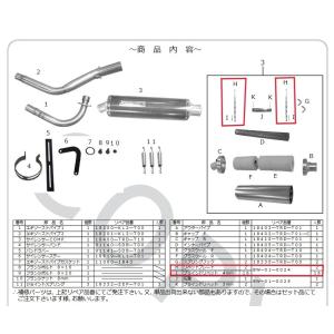 SP武川 SPタケガワ 【補修部品】リベットプレートセット／04-01-0017用 KSR110 KAWASAKI カワサキ｜webike