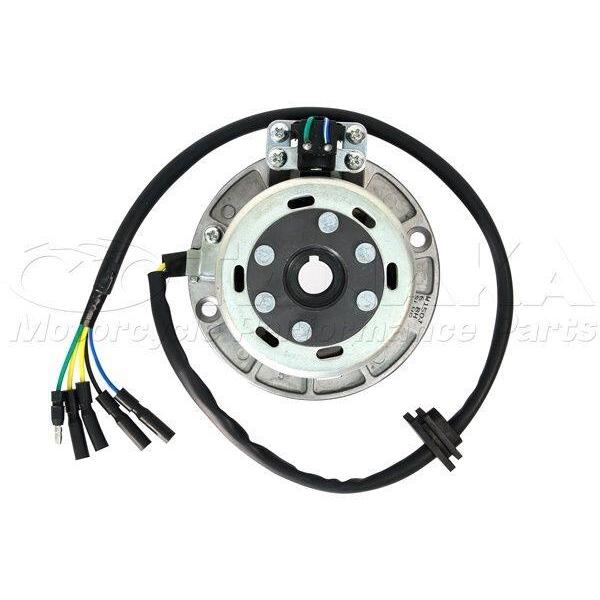 田中商会(TANAKA) タナカショウカイ 全波整流 アウターローター ステーターコイルキット モン...