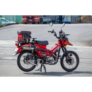 OVER RACING（オーバーレーシング） OVER オーヴァー SESMIC-mini