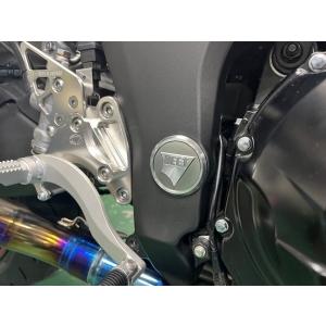 BEET ビート スイングアームピポットプラグセット カラー：グレー Ninja1100SX Nin...