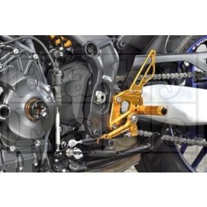 SUPER NOW（スーパーナウ） STDバックステップ タイプ：逆シフト