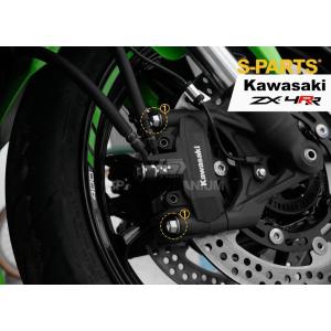 TSR テクニカルスポーツレーシング リヤブレーキキャリパー用