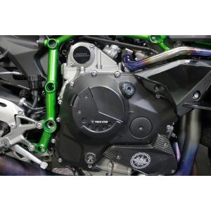 SPEEDRA（スピードラ） フロントフェンダー ドライカーボン タイプ：綾