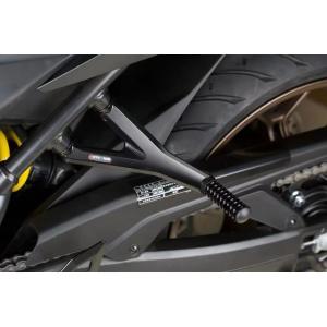 SPEEDRA スピードラ タンクトップカバー ドライカーボン 仕様