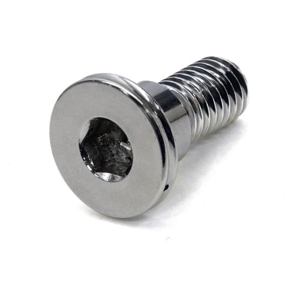 GALE SPEED ゲイルスピード ワイヤリングガイドレール付低頭ローターボルト 入数：1本 ロー...