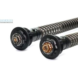 GEARS RACING ギアーズレーシング FFC-250TT フロントフォークカートリッジ 倒立...