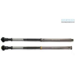 GEARS RACING ギアーズレーシング FFC-250TT フロントフォークカートリッジ 倒立...