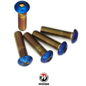 WIZH ウィズ 補修用ステンレスチタンメッキボルト タイプ：ラウンドヘッド (M8)／50mm そ...