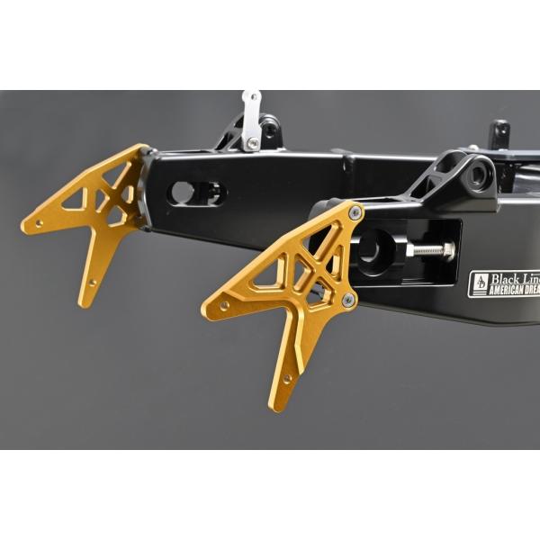 AMERICAN DREAM アメリカンドリーム スタンドフックプレート カラー：ゴールド Z900...