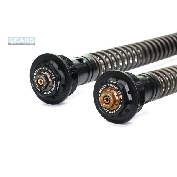 GEARS RACING ギアーズレーシング FFC-250-TT フロントフォークカートリッジ (...