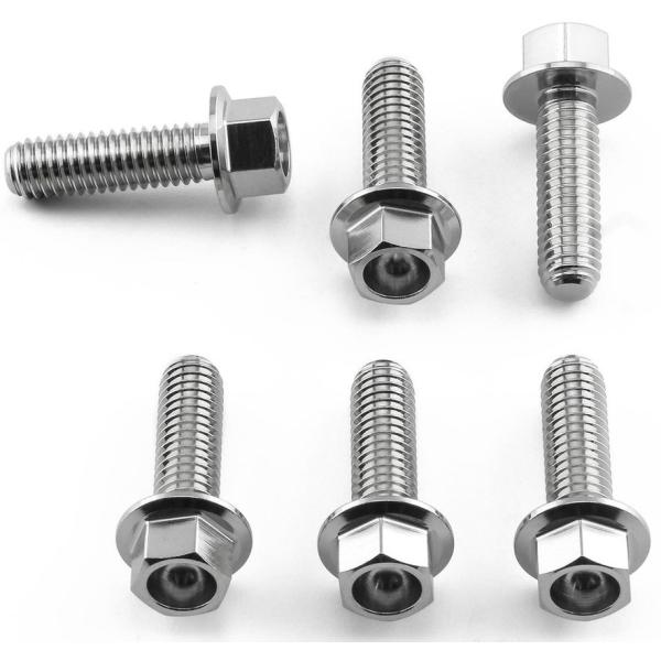 PRO BOLT プロボルト ディスクボルト フランジヘックス リア カラー：研磨ステンレス RS4...