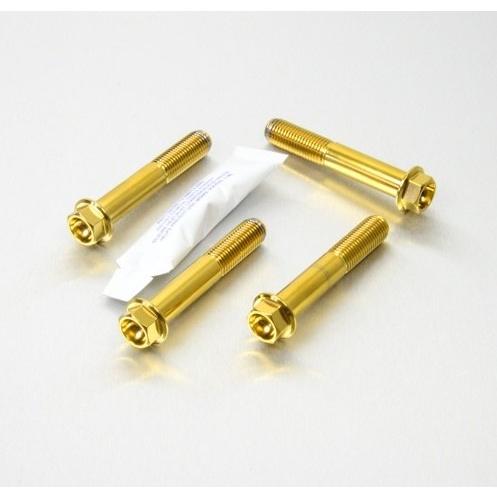 PRO BOLT プロボルト Stainless Steel Front Brake Mountin...
