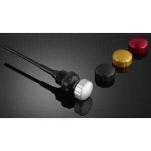 BIKERS バイカーズ レベルゲージ付きフィラーキャップ GTS SUPER 150 I-GET ...