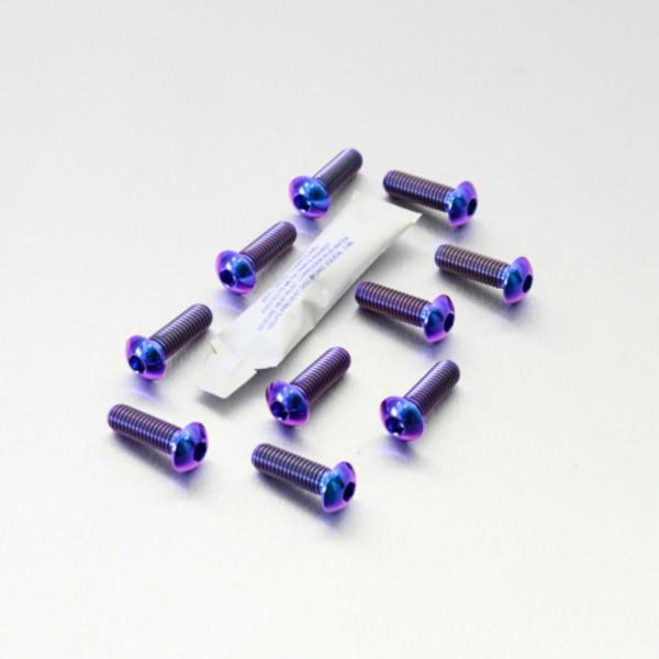 PRO BOLT プロボルト ディスクボルト カラー：パープル F800S K1200GT K120...
