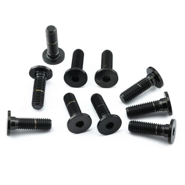 PRO BOLT プロボルト ディスクボルト カラー：ブラック R Nine T Sport R12...