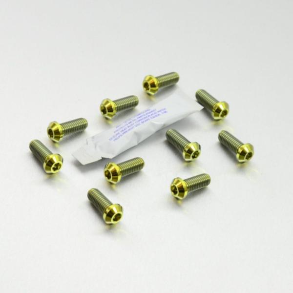 PRO BOLT プロボルト ディスクボルト カラー：ゴールド 1098S 1098 1198S H...