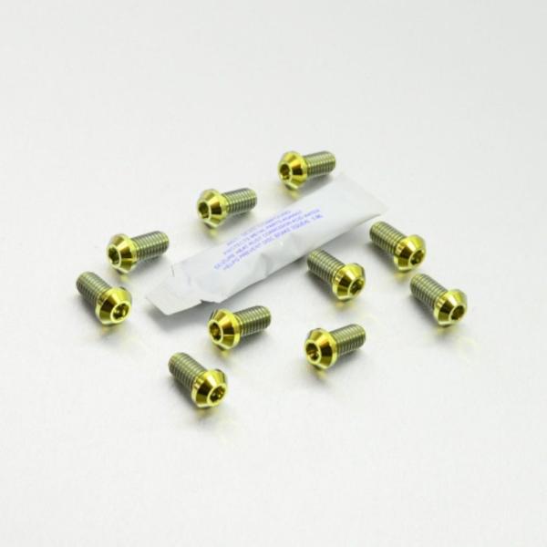 PRO BOLT プロボルト ディスクボルト カラー：ゴールド 749R 999R S 999 Hy...