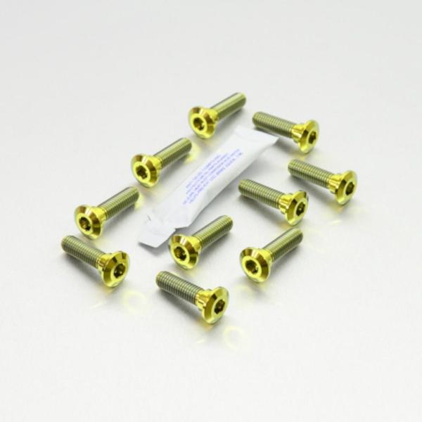 PRO BOLT プロボルト ディスクボルト カラー：ゴールド KAWASAKI カワサキ SUZU...