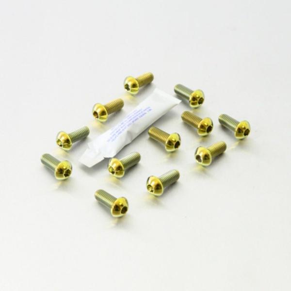 PRO BOLT プロボルト ディスクボルト カラー：ゴールド RSV4 RF Tuono V4R ...